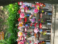 IMG_0467.JPG